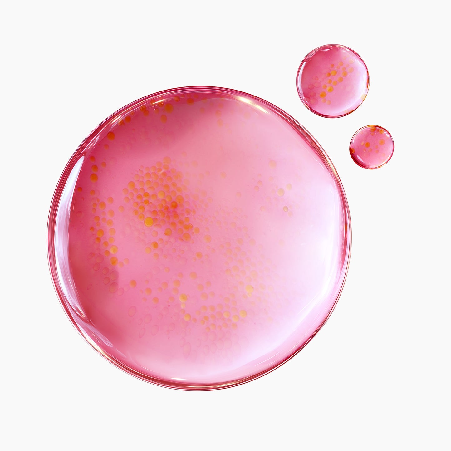 TXA 6 Niacinamide 10 Retinal Serum